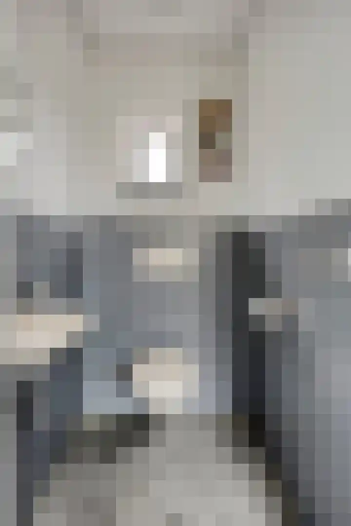 Karstraat 26 Mill thumbnail 37