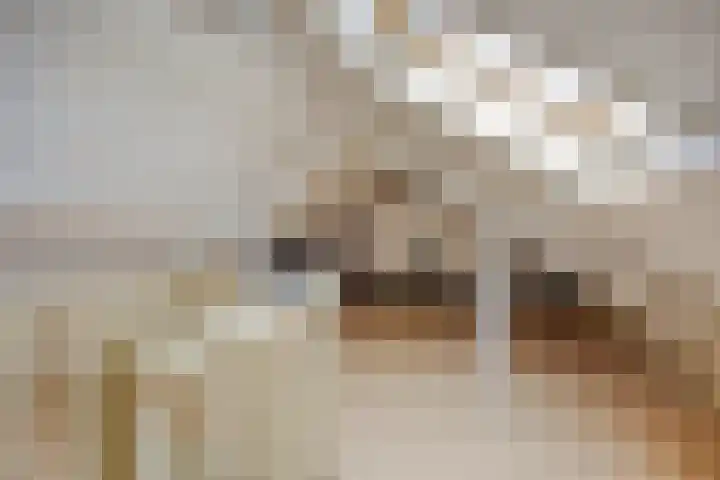 Karstraat 26 Mill thumbnail 51