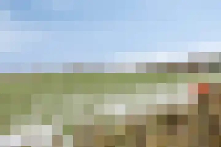 Karstraat 26 Mill thumbnail 64