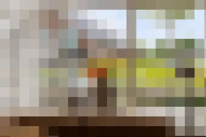 Karthuizerlaan 4 IJsselmuiden thumbnail 10