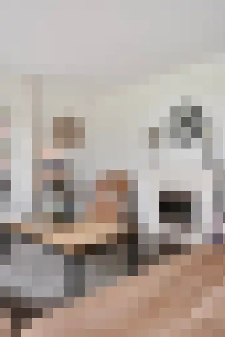 Karthuizerlaan 4 IJsselmuiden thumbnail 12