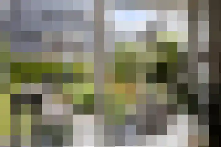 Karthuizerlaan 4 IJsselmuiden thumbnail 25