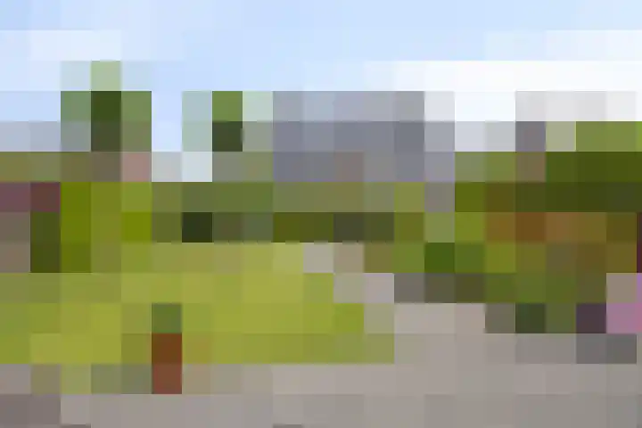 Karthuizerlaan 4 IJsselmuiden thumbnail 41