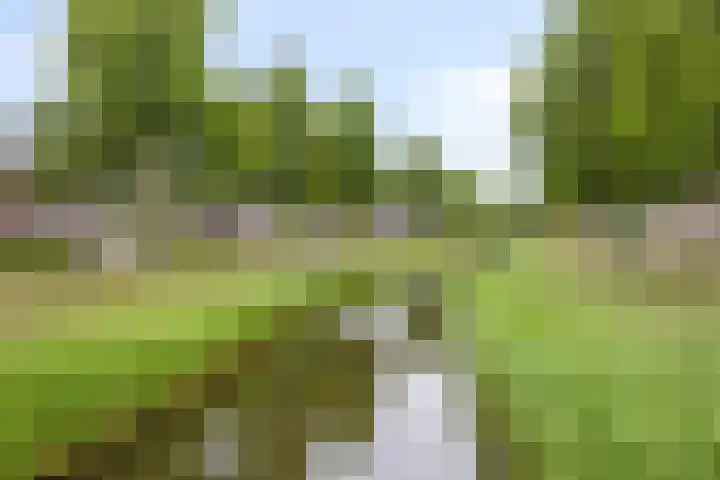 Karthuizerlaan 4 IJsselmuiden thumbnail 46