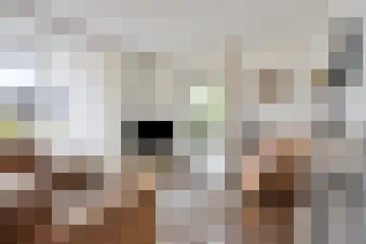 Karthuizerlaan 4 IJsselmuiden thumbnail 9