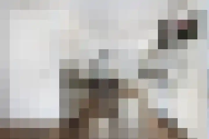 Karthuizerserf 7 Helmond thumbnail 10