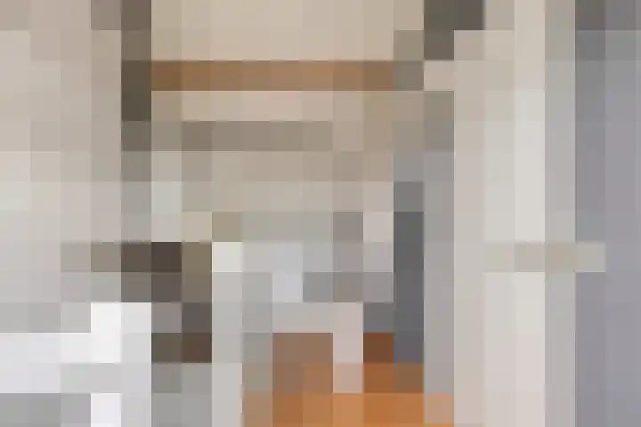 Karthuizerserf 7 Helmond thumbnail 17