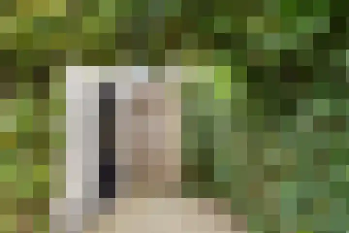 Karthuizerserf 7 Helmond thumbnail 21