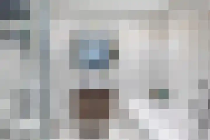Karthuizerserf 7 Helmond thumbnail 5