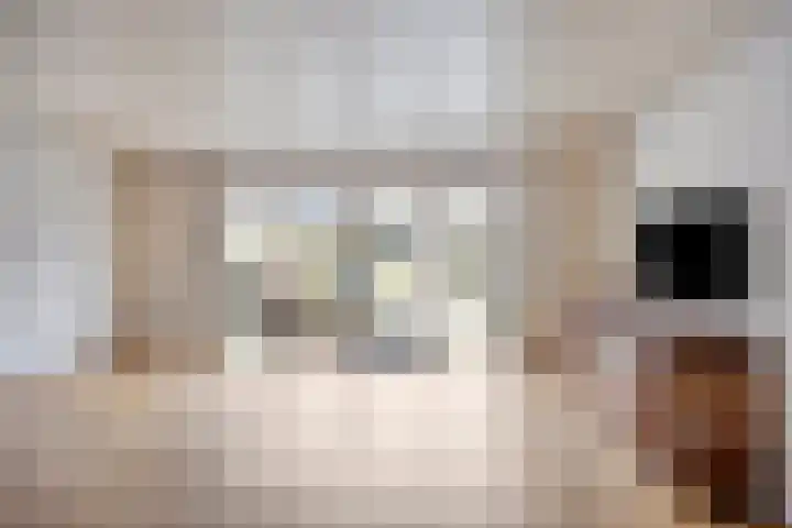 Karveel 15 Hoorn thumbnail 10
