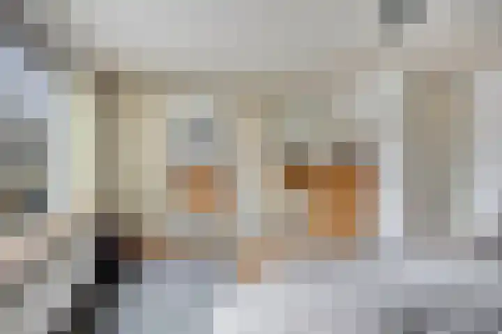 Karveel 15 Hoorn thumbnail 20