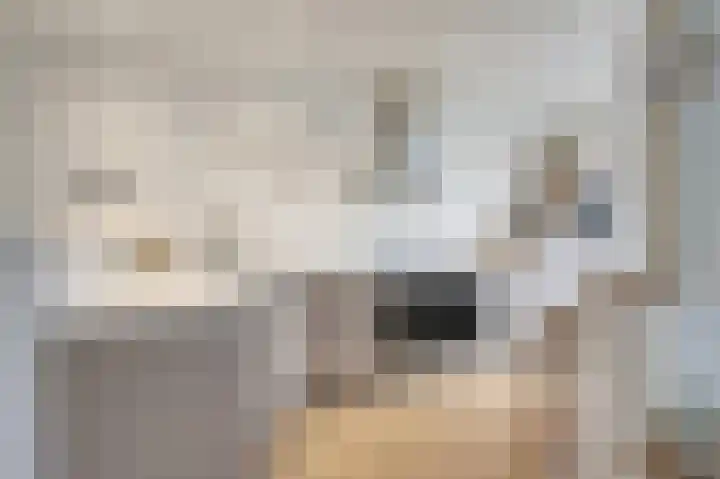 Karveel 15 Hoorn thumbnail 5