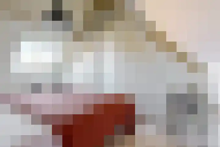 Karveel 20 Uithoorn thumbnail 5
