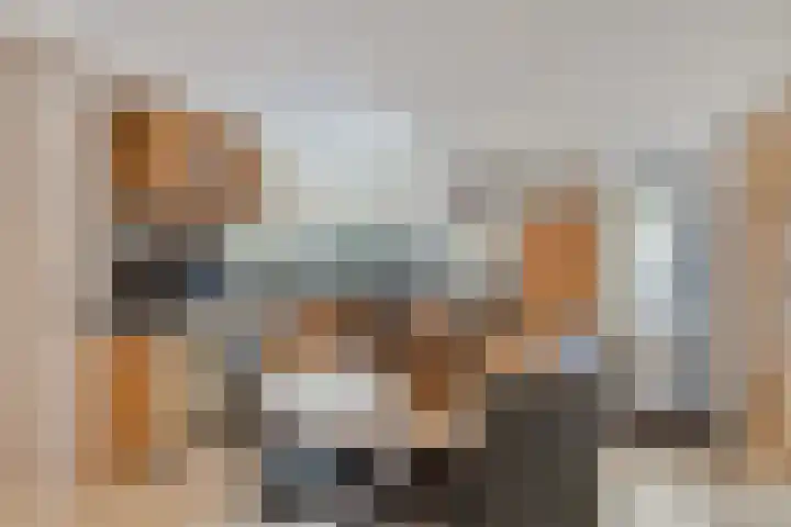 Karveel 4 Volendam thumbnail 10