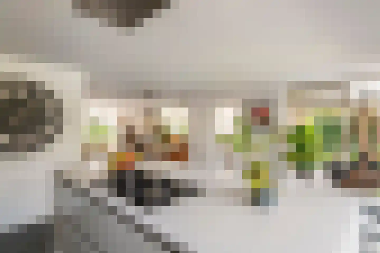 Karveel 4 Volendam thumbnail 13