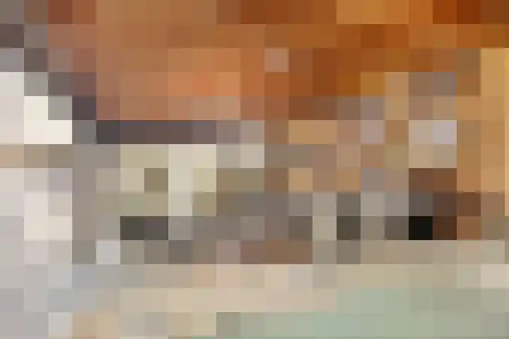 Karveel 4 Volendam thumbnail 17