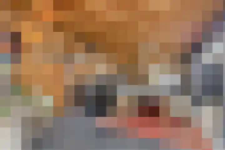 Karveel 4 Volendam thumbnail 18