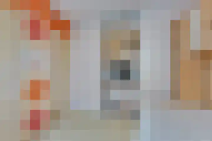 Karveel 4 Volendam thumbnail 26