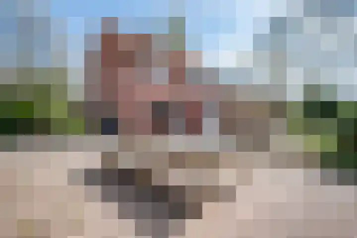 Karveel 4 Volendam thumbnail 28