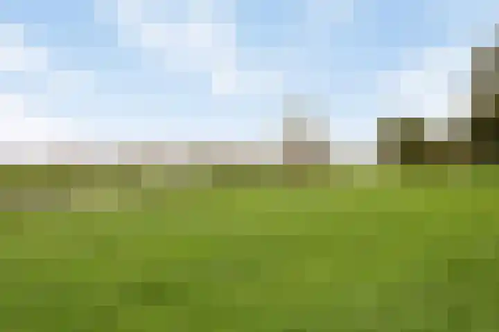 Karveel 4 Volendam thumbnail 33