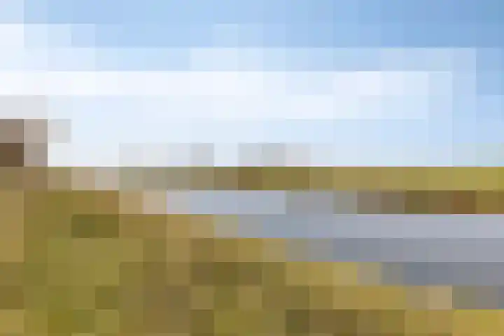 Karveel 4 Volendam thumbnail 37
