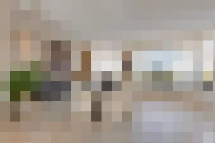 Karveel 4 Volendam thumbnail 5