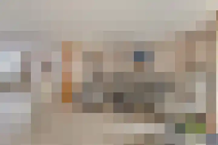 Karveel 4 Volendam thumbnail 8