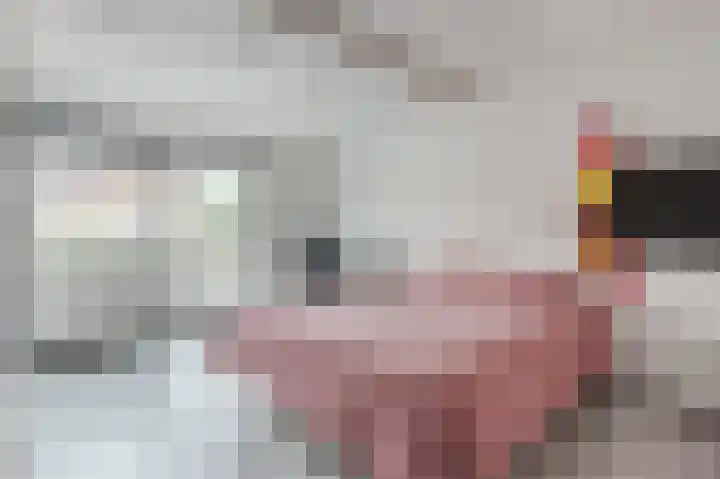 Karveel 51 51 44 Lelystad thumbnail 20