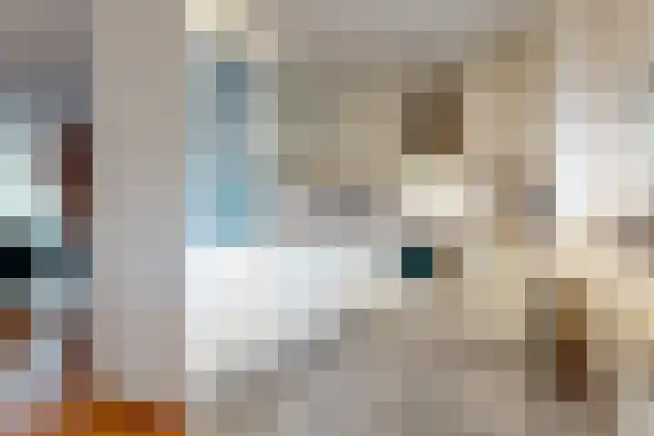 Kas 51 Aalsmeer thumbnail 6