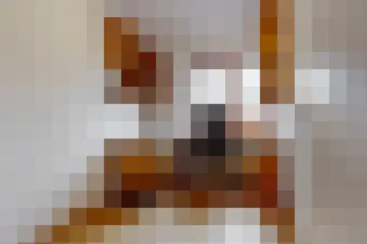 Kas 51 Aalsmeer thumbnail 8