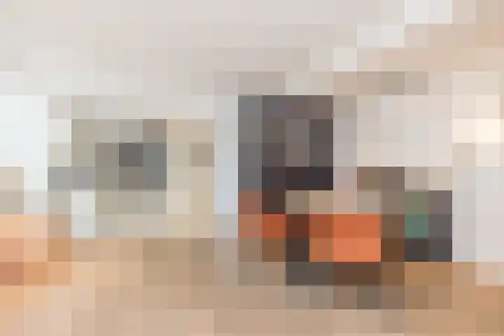 Kasennerweg 8 Bunde thumbnail 11