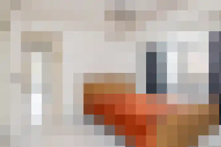 Kasennerweg 8 Bunde thumbnail 25