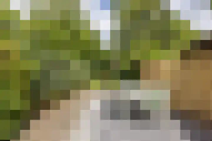 Kasennerweg 8 Bunde thumbnail 29