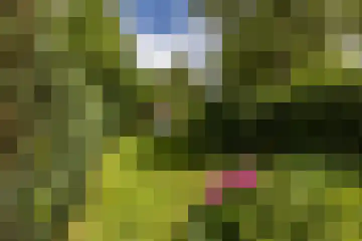 Kasennerweg 8 Bunde thumbnail 30