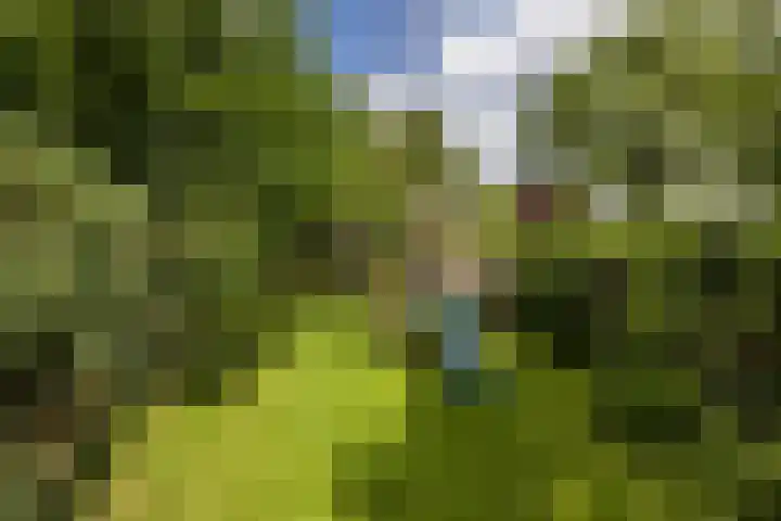 Kasennerweg 8 Bunde thumbnail 31