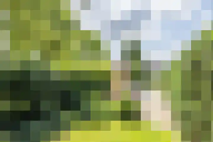 Kasennerweg 8 Bunde thumbnail 34