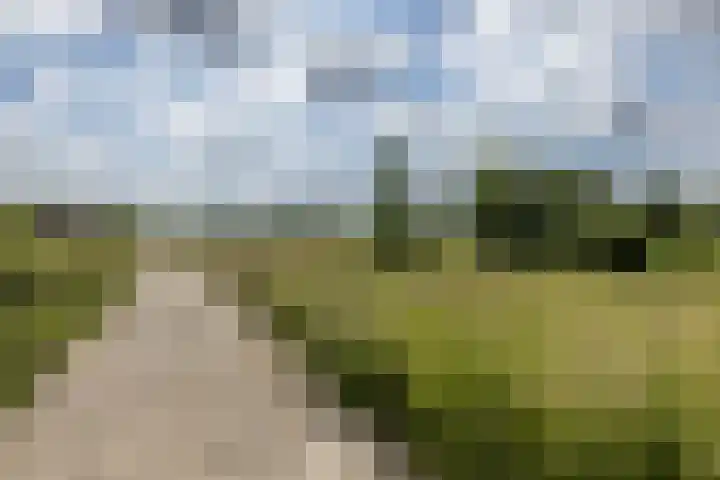 Kasennerweg 8 Bunde thumbnail 36