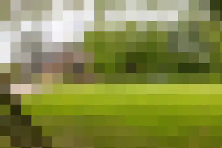 Kasselderstraat 11 Sinderen thumbnail 101