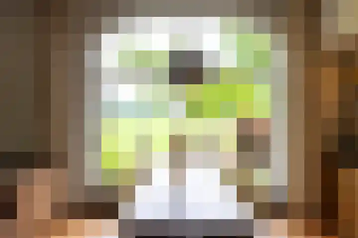 Kasselderstraat 11 Sinderen thumbnail 12