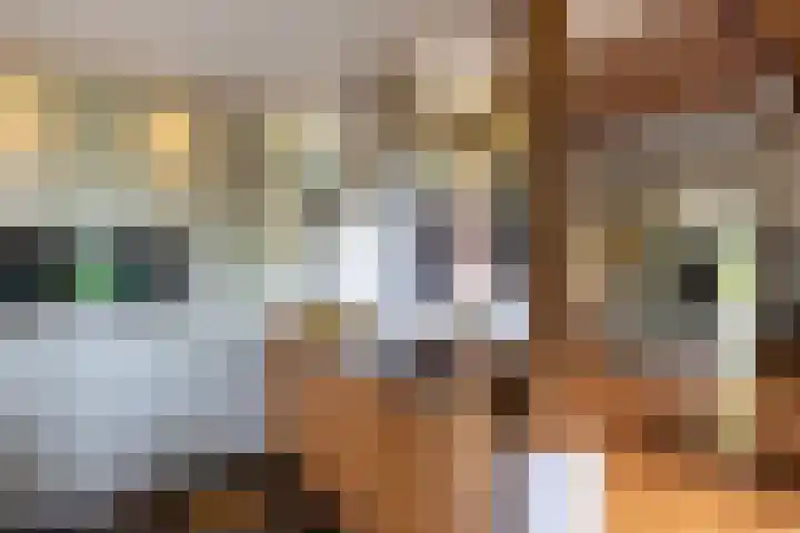 Kasselderstraat 11 Sinderen thumbnail 18