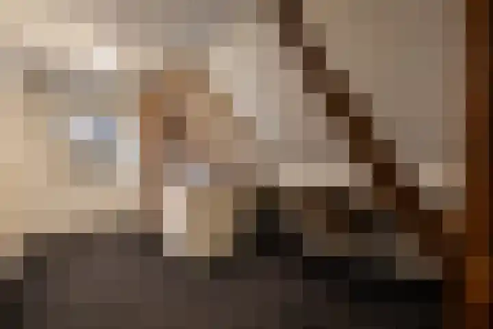 Kasselderstraat 11 Sinderen thumbnail 40