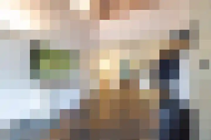 Kasselderstraat 11 Sinderen thumbnail 61