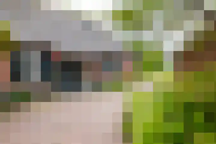 Kasselderstraat 11 Sinderen thumbnail 63