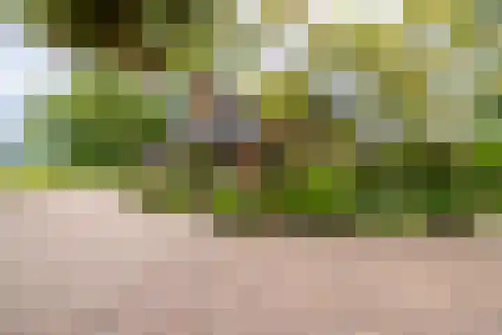 Kasselderstraat 11 Sinderen thumbnail 64