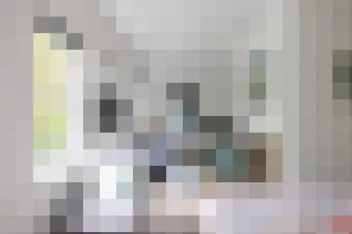 Kasselderstraat 11 Sinderen thumbnail 68
