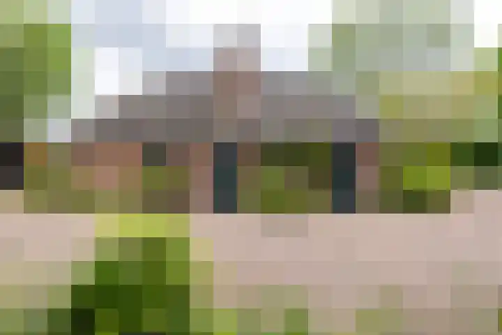 Kasselderstraat 11 Sinderen thumbnail 72