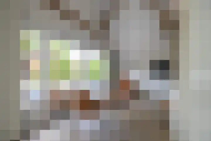 Kasselderstraat 11 Sinderen thumbnail 76