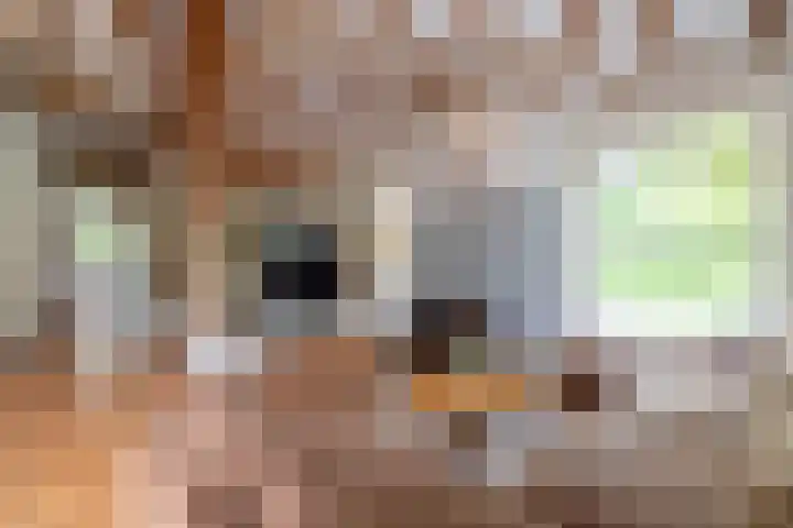 Kasselderstraat 11 Sinderen thumbnail 8