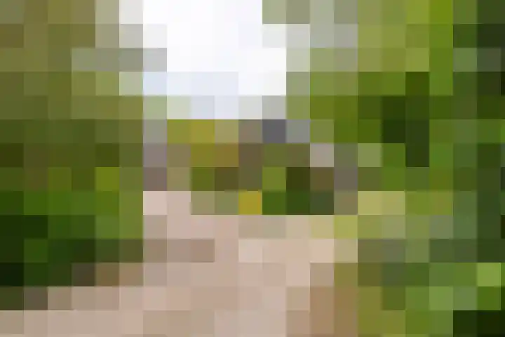 Kasselderstraat 11 Sinderen thumbnail 84