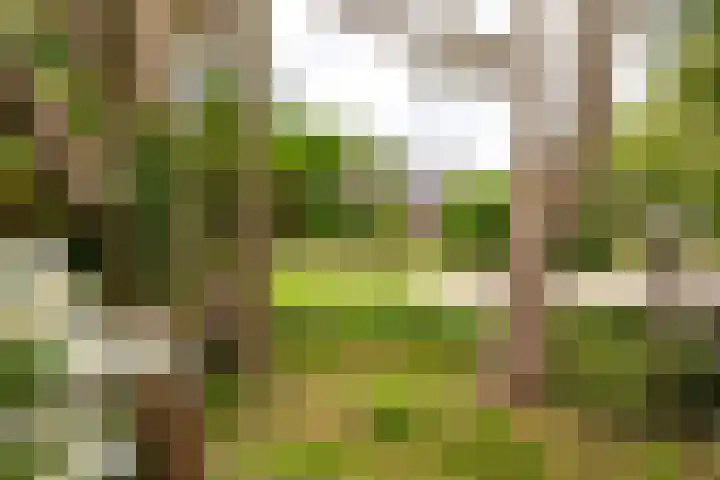Kasselderstraat 11 Sinderen thumbnail 86